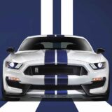 NUEVO SHELBY GT350 LA COBRA DEL ASFALTO SOBREPASA SUS LÍMITES 4 mustang shelby gt350