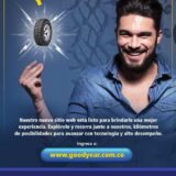 GY WEB