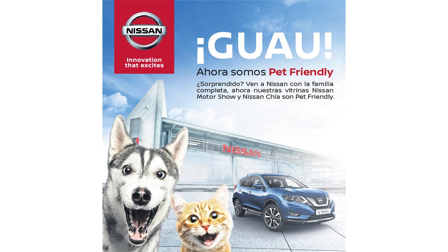 Este sábado Jornada de Adopción de perros y gatos en la vitrina Nissan Motorshow 1 unnamed