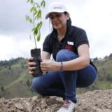 TOYOTA SEMBRARÁ MÁS DE 7.500 ARBOLES EN EL ORIENTE ANTIOQUEÑO 1 0 4