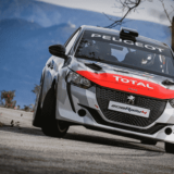 NUEVO 208 RALLY 4 2 peugeot 208 rally4