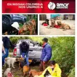 nissan colombia 1024x1117.jpg