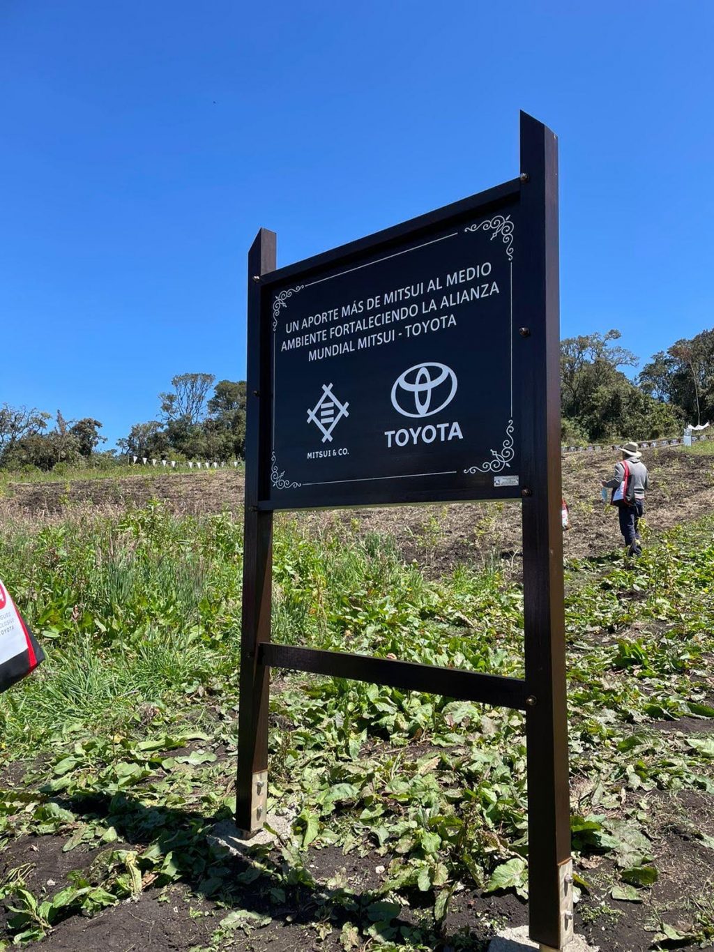 TOYOTA MANTIENE SU APUESTA POR LA REFORESTACIÓN 1 toyota reforestacion 1024x1365 1