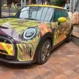 mini cultura indigena