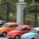 Se celebra la 16° Gran Caravana Volkswagen, con el apoyo directo de la marca 3 volkswagen beetle