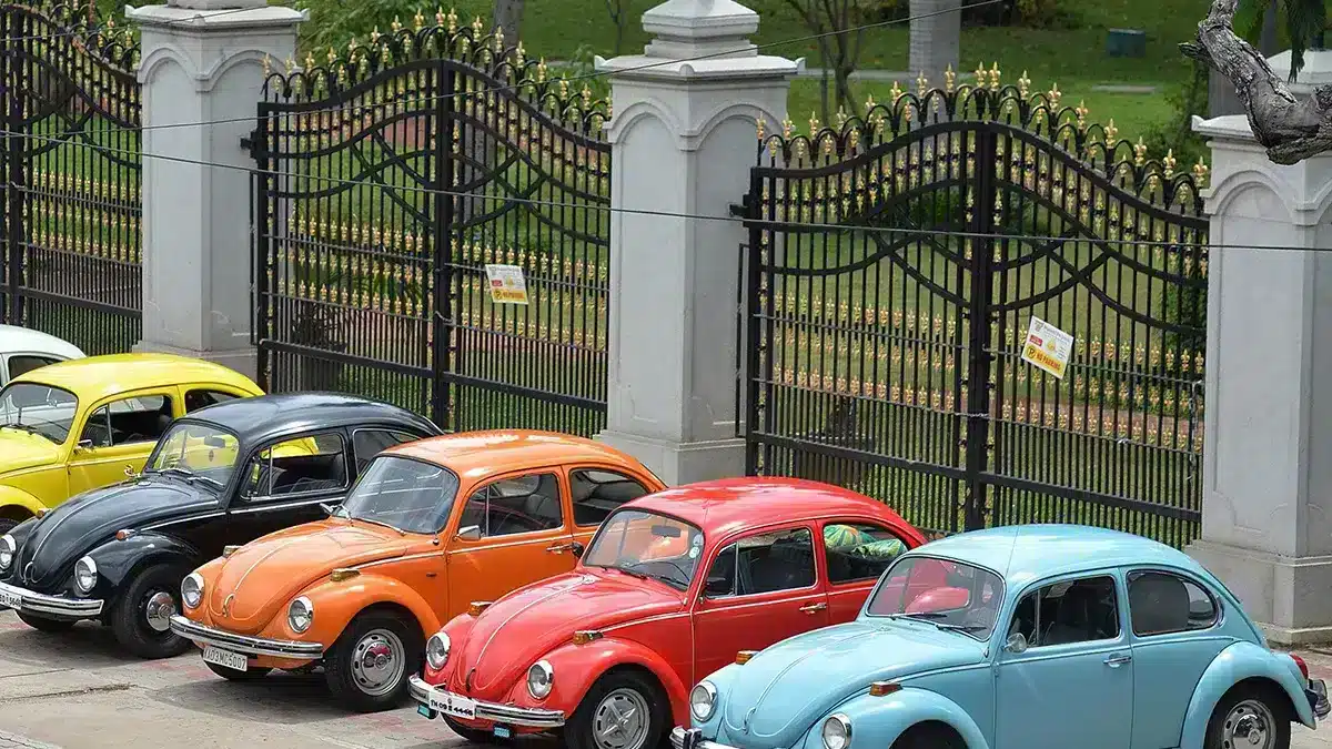 Se celebra la 16° Gran Caravana Volkswagen, con el apoyo directo de la marca 1 volkswagen beetle