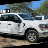 Ford F-150 Hibrida 2023