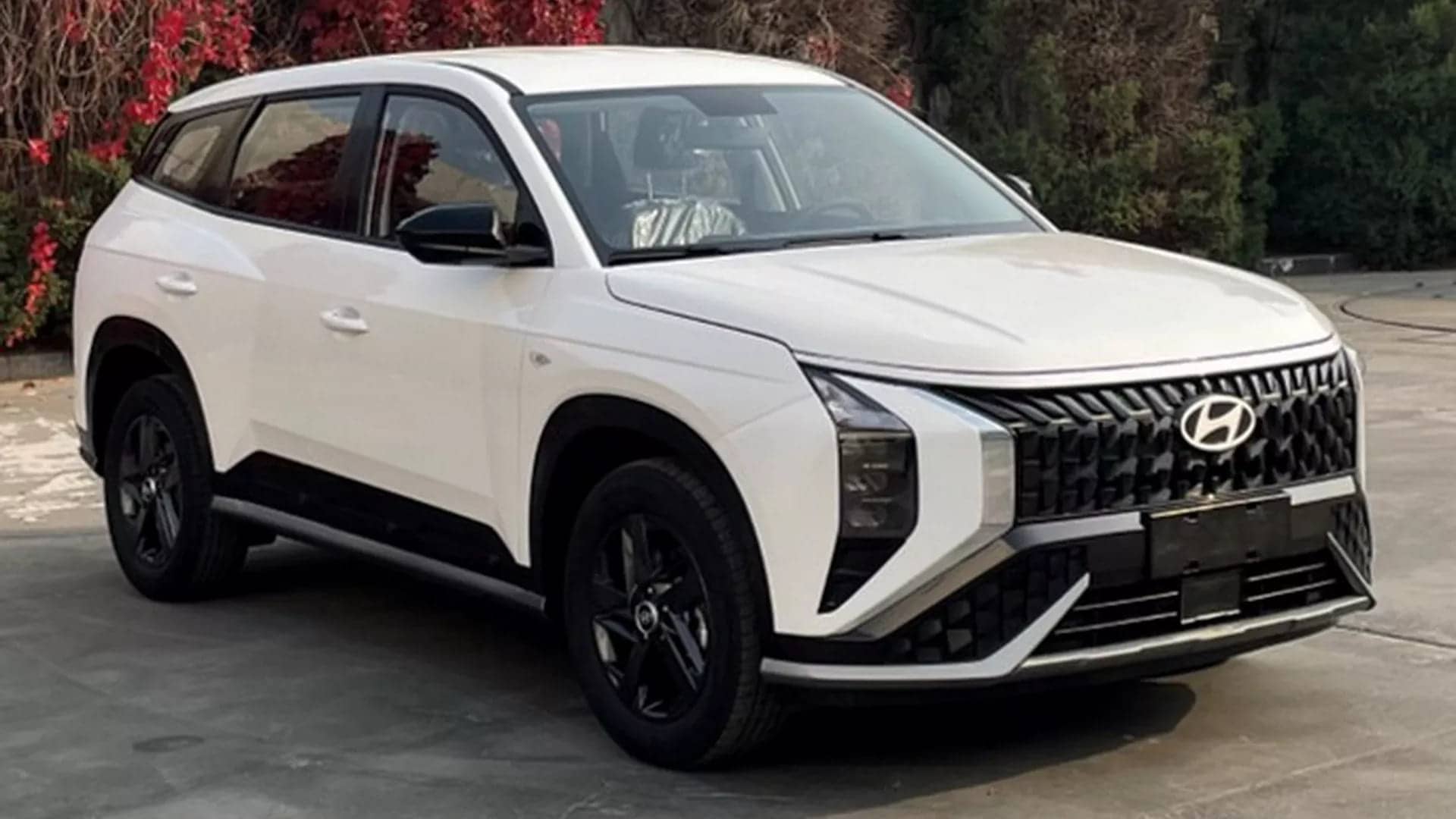ᐅ Perece Kia Pero Es El Nuevo Hyundai Mufasa