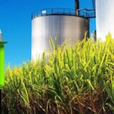 Ventajas y desventajas del Bioetanol