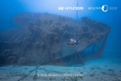 Hyundai Motor y Healthy Seas