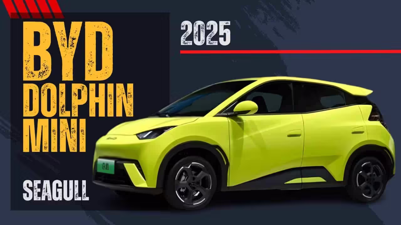 BYD Dolphin Mini video