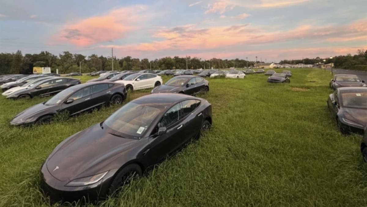 El Misterio de los Tesla Abandonados en Florida: ¿Qué Se Esconde Detrás? 1 Tesla Abandonados en Florida 3