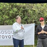 Bosque Toyota Más de 26.000 Árboles Sembrados en Colombia 4 Bosque Toyota 1