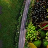 Volvo Car Colombia y Montes de María: ¡Una alianza que transforma vidas! 6 Volvo Montes de María