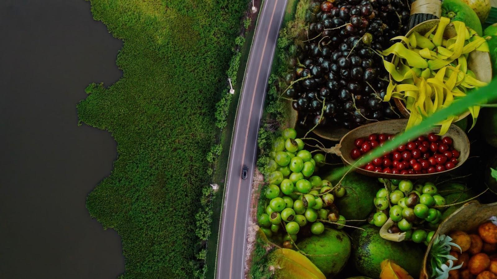 Volvo Car Colombia y Montes de María: ¡Una alianza que transforma vidas! 1 Volvo Montes de María