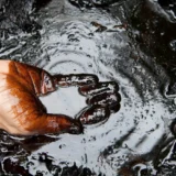 China Reutiliza el Aceite de Motor Usado para Innovar en Energía y la Movilidad 9 China Reutiliza el Aceite de Motor Usado