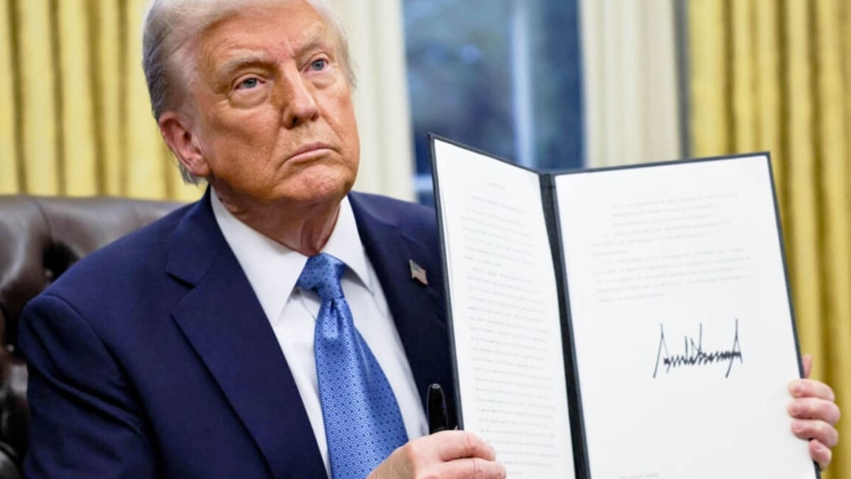 Trump impone un arancel del 25% a los autos importados y desata una guerra comercial 1 aranceles del 25 porciento autos importados 0001