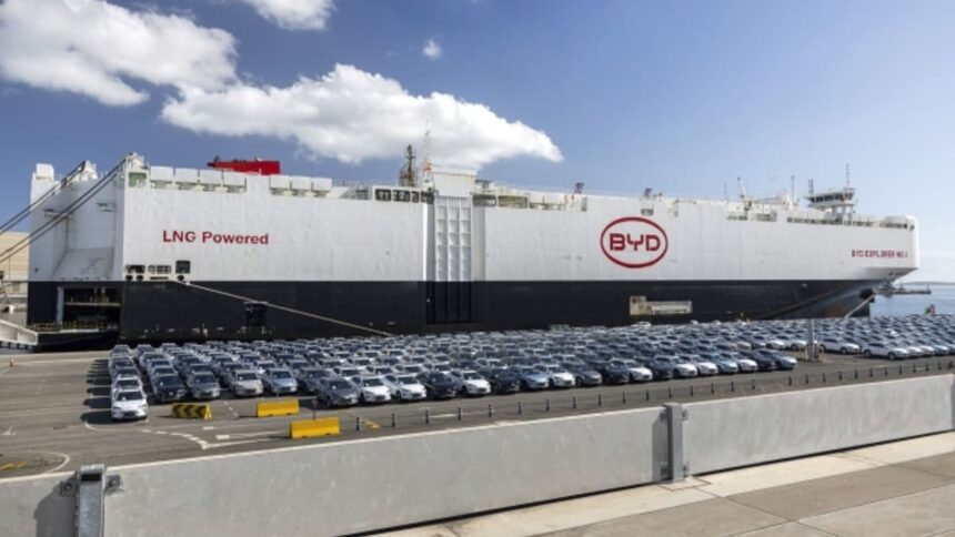 byd barco