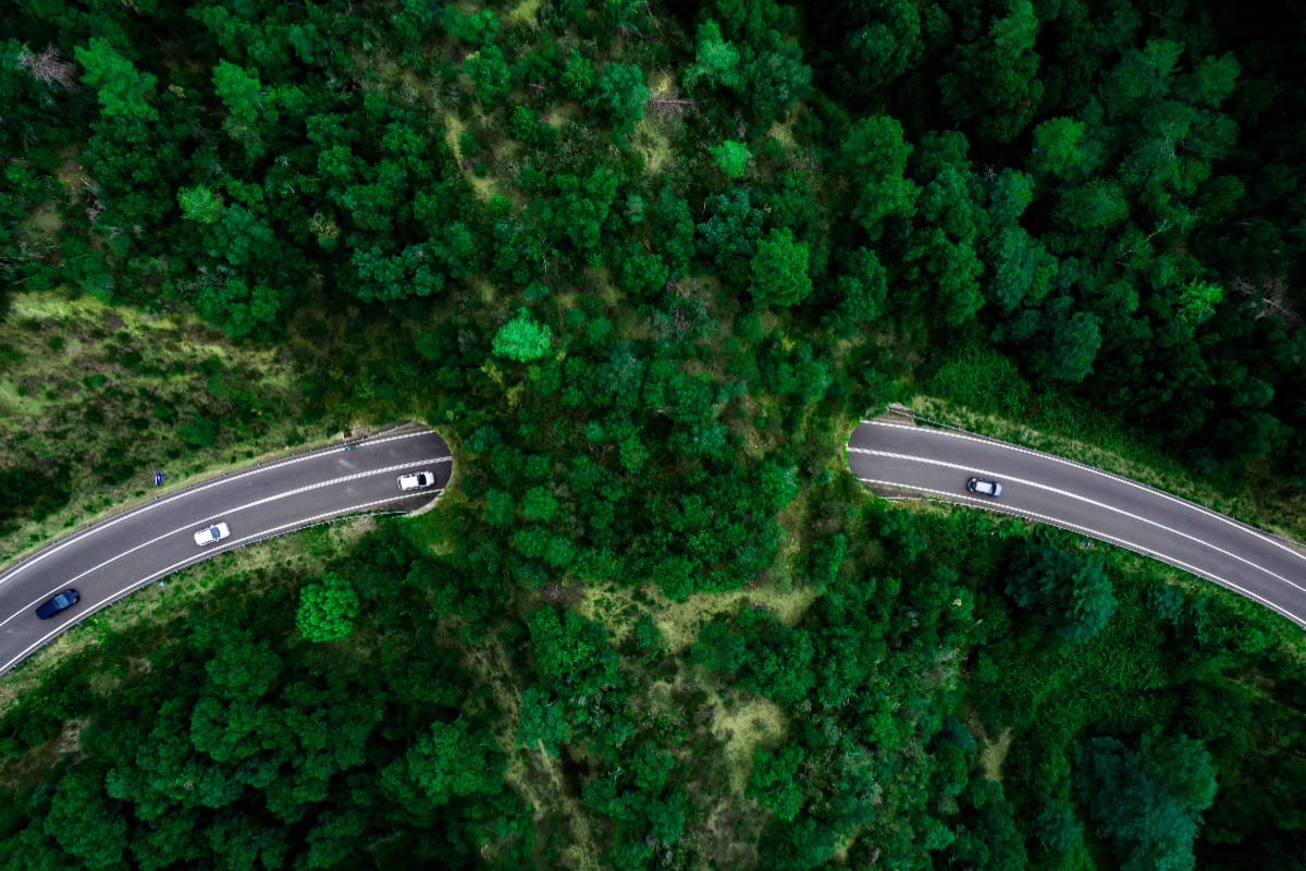 Colombia frente al desafío climático: el liderazgo de Nissan en movilidad sostenible 4 Sostenibilidad