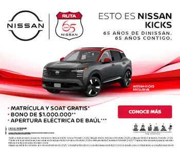 Banner Nissan 65 anos