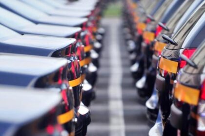 6092301147486.r d.1195 115