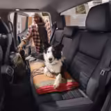 perros a bordo con nissan.webp.ximg .l 12 h.smart