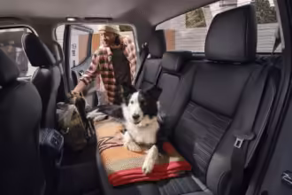 perros a bordo con nissan.webp.ximg .l 12 h.smart