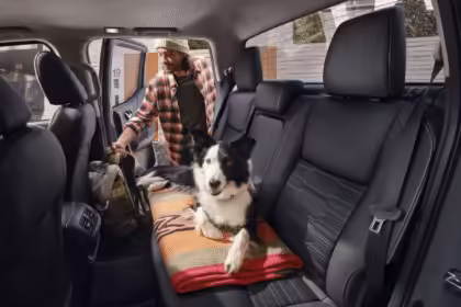 perros a bordo con nissan.webp.ximg .l 12 h.smart