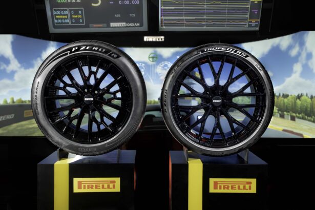 Pirelli PZeroR PZeroTrofeoRS