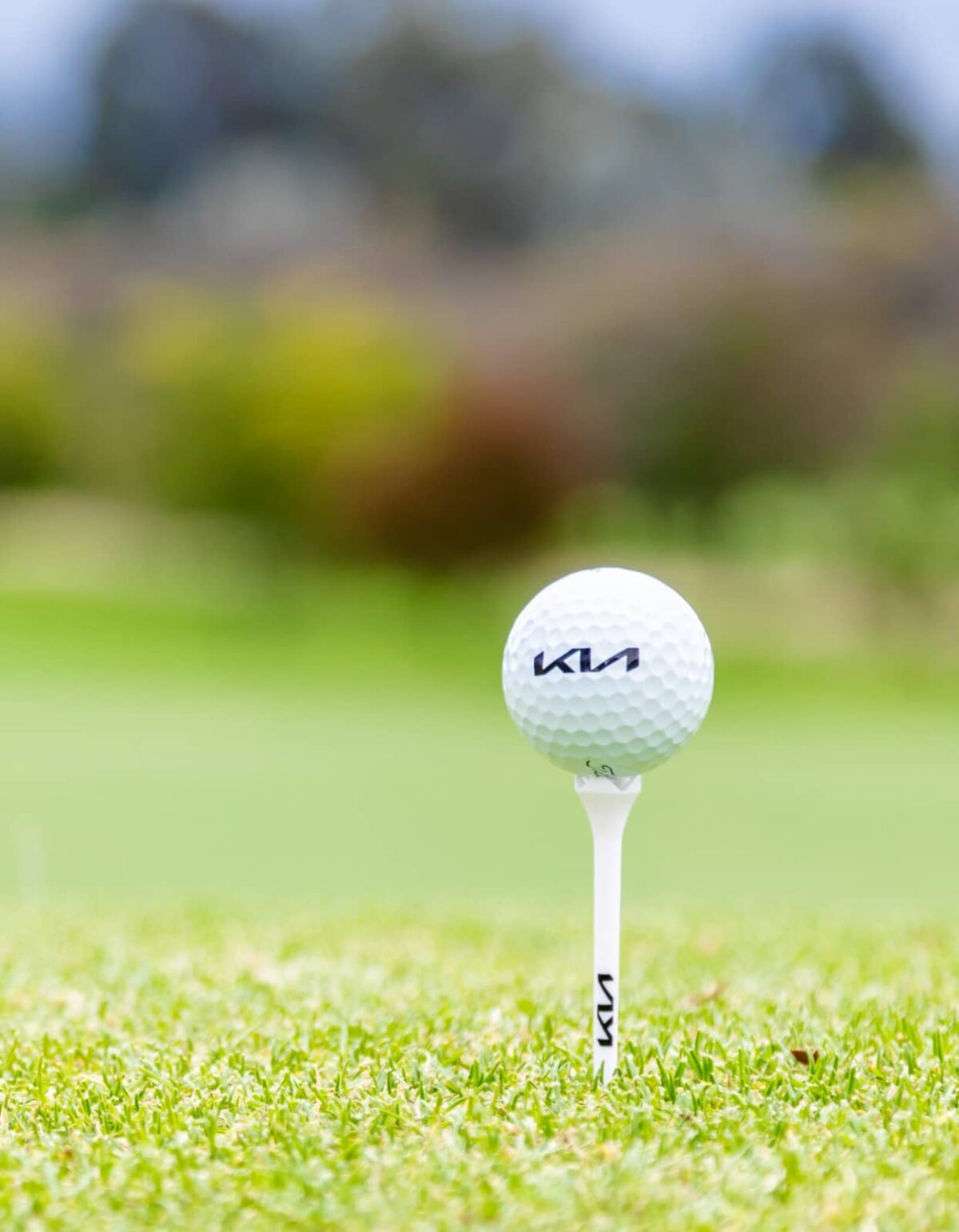 Kia Ryder Cup Intergrupos 2026: la gira nacional que llevará el golf aficionado colombiano a otro nivel 3 Kia Ryder Cup Intergrupos 2026 0003