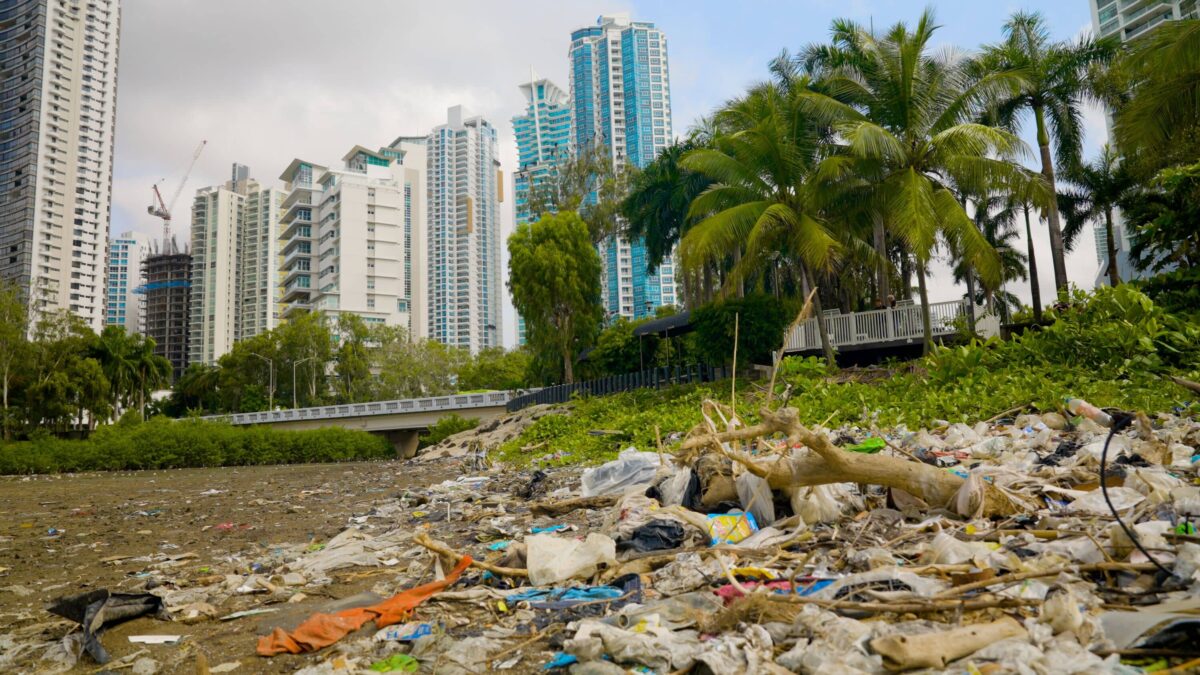 Kia apoya el proyecto de The Ocean Cleanup en Ciudad de Panamá para reducir los residuos plásticos 3 Kia x TOC Panama City 2