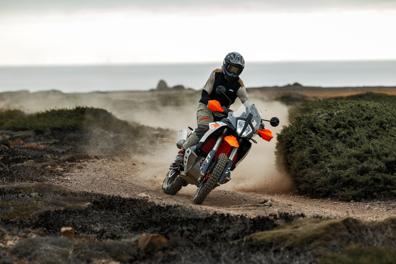 KTM, Husqvarna y Terrasos avanzan en la conservación de bosque de niebla en Colombia 1 hatsApp Image 2026 09 15 at 15.32.35